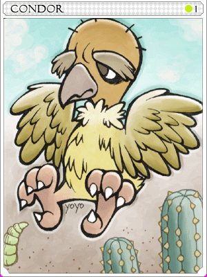 Carta Condor